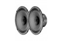 Visaton BG17-8 6.5" Full-Range Speaker (x2)