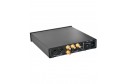 Denafrips Ares R2R Dac 24Bit / 384K DSD