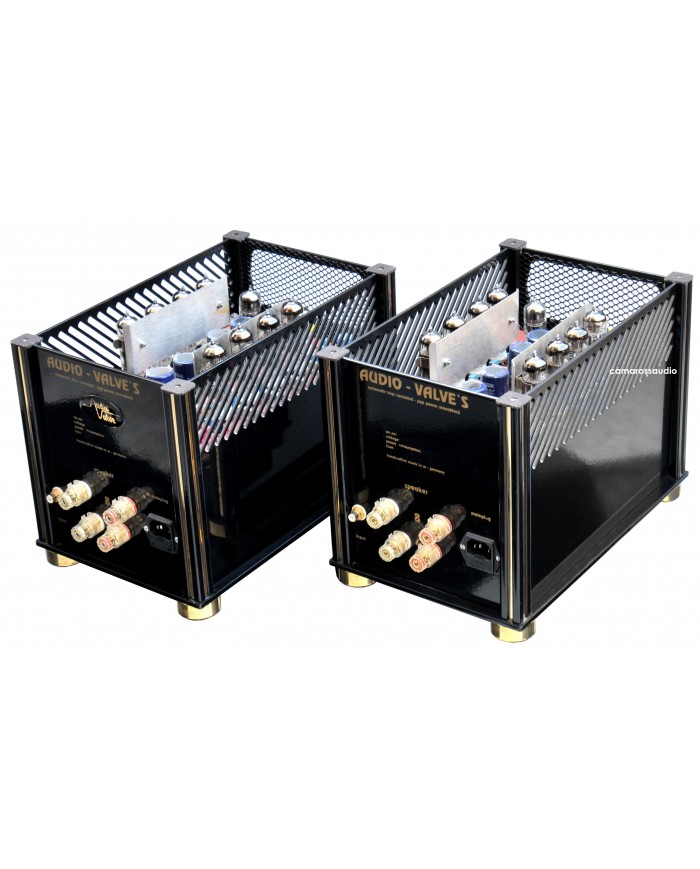 Audio Vlave PPP45 Monoblock Amplifier ( Class A )