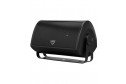 Definitive Technology AW6500 Outdoor Speaker