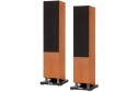 Tannoy Revolution XT 6F