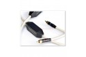 MIT Transparent the link 100 RCA Interconnect 100 cm