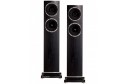 Fyne Audio F501 ( Black Oak )