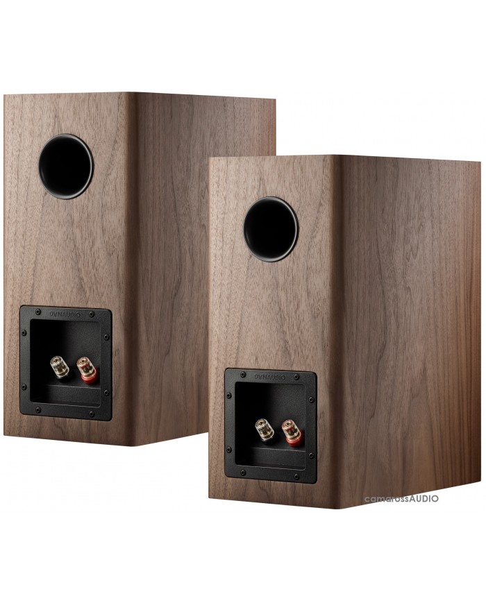 Dynaudio Evoke 20 Walnut Rear Side