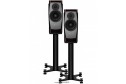 Dynaudio Confidence 20 raven wood