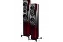 Dynaudio Confidence 30 ruby