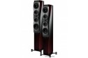 Dynaudio Confidence 50 raven