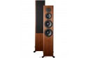 Dynaudio Focus 60 XD walnut