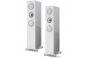 Kef R7 Ceviz