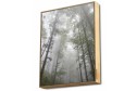 Energy Sistem Frame Speaker Forest