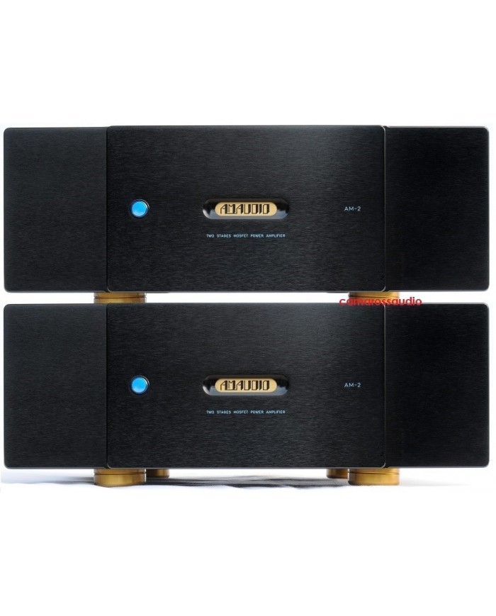 AM Audio AM2 Reference Mono Power Amplifier