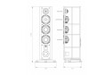 Triangle Magellan Cello Dimensions