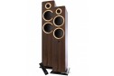 Argon Audio FORTE A55 MK2 walnut