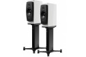 Dynaudio Confidence 20A