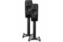 Dynaudio Confidence 20A