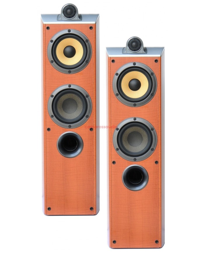 Sony SS-X70ED Speaker