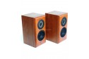 CAV DS-87 Speaker