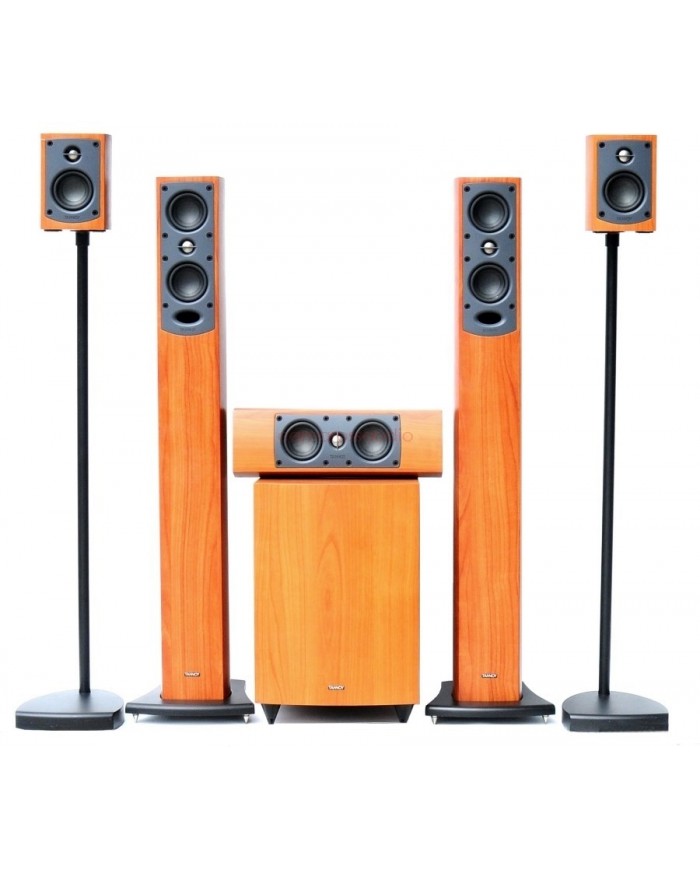 Tannoy HTS 200