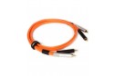 OYAIDE D+Class B RCA Cable