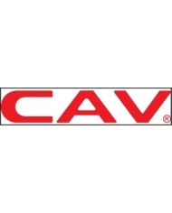 CAV